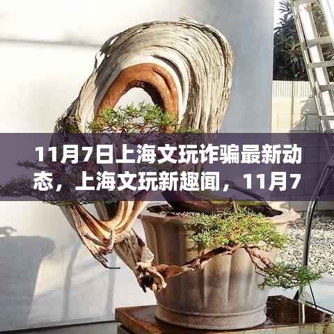 上海文玩诈骗最新动态揭秘,意外寻宝之旅与深厚友情的探寻趣闻