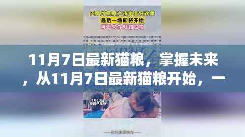 励志猫步人生,从掌握最新猫粮开始启程的猫咪成长之旅