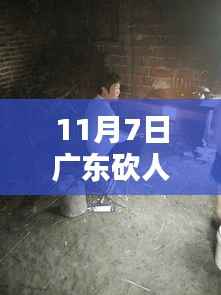 广东再现悲剧,深度解析2017年11月7日砍人案内幕
