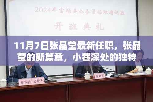 张晶莹新篇章,11月7日的惊喜发现与小巷深处的独特风味