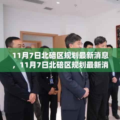 11月7日北碚区规划最新消息深度解析与观点阐述