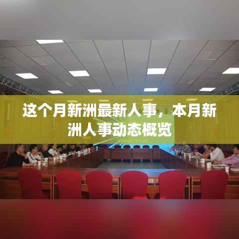 本月新洲人事动态概览,最新人事调整及动态分析