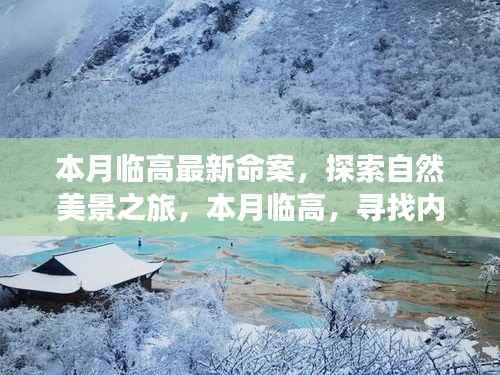 本月临高命案背后的探索之旅,自然美景中寻找内心宁静与和谐