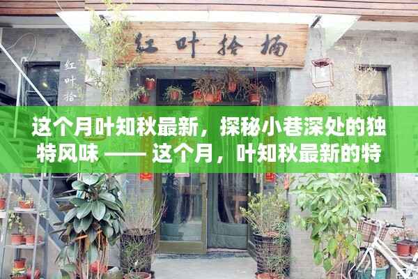 这个月叶知秋最新特色小店,探秘小巷深处的独特风味美食之旅