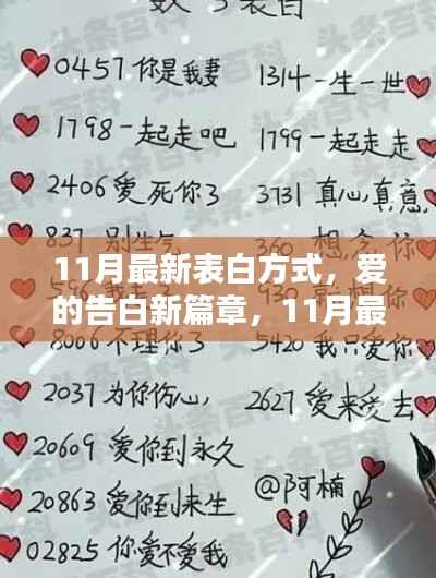 11月最新表白方式,爱的告白新篇章全面评测与介绍