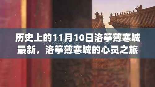 洛筝薄寒城的心灵探寻之旅,自然美景唤醒内心的平静(11月10日最新)