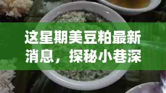 本周美豆粕最新消息与小巷美食小店的奇妙探秘之旅