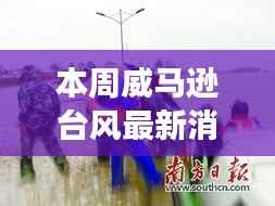 威马逊台风最新动态及分析,多方观点下的深度思考