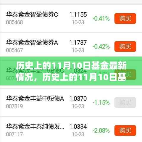 历史上的11月10日基金动态与市场深度剖析,最新情况与策略调整