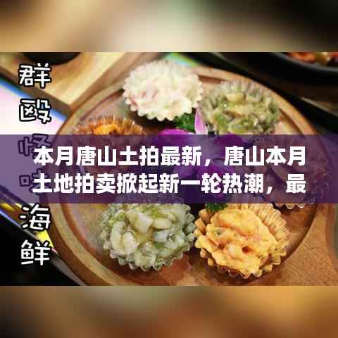 唐山本月土拍掀起新一轮热潮,最新动态全解析