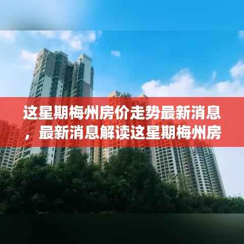 梅州最新房价走势解读,指南与应对策略
