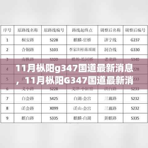 枞阳G347国道建设进展与影响解析,最新消息及我之见
