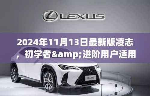 2024年最新版凌志操作指南,从初学者到进阶用户的使用技巧详解