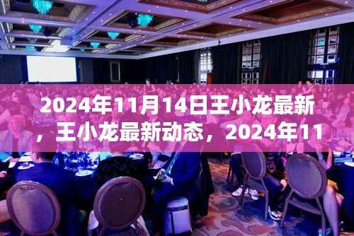 王小龙最新动态,开启2024年全新篇章的启示(日期标注)