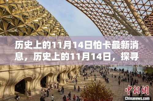 探寻怕卡最新消息,历史上的11月14日揭秘真相的神秘面纱