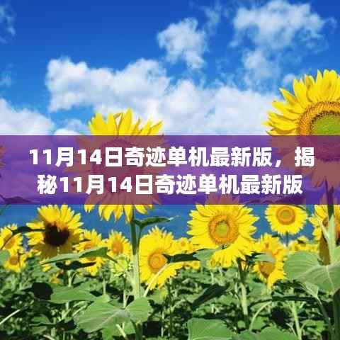 揭秘奇迹单机最新版,游戏界的盛大盛宴(11月14日更新)