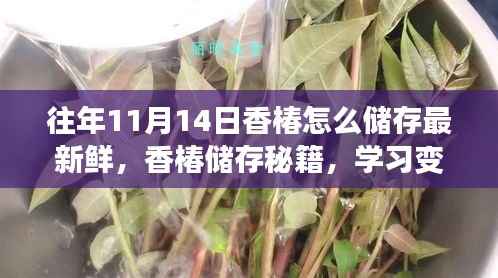 香椿储存秘籍,保持新鲜,自信享受——往年11月14日储存指南