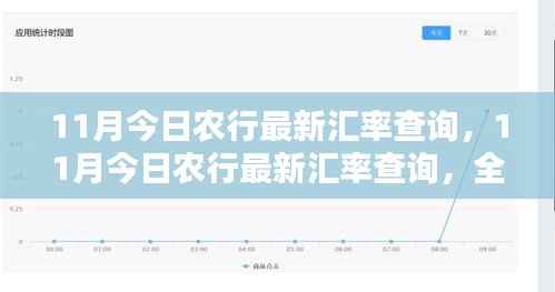 最新农行汇率评测与介绍,全面查询11月汇率走势