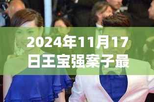 王宝强案件最新进展揭秘,心灵寻找宁静之旅启程探寻内心桃花源