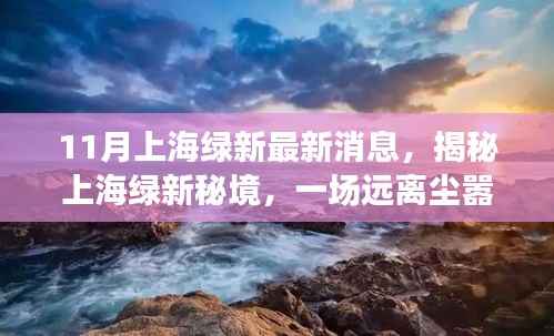 揭秘上海绿新秘境,探寻内心平静的奇妙之旅(最新消息)