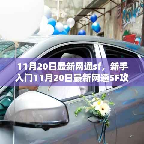 新手攻略手册,最新网通SF入门指南,手把手教你完成任务