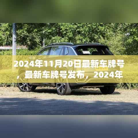星星打烊 第7页