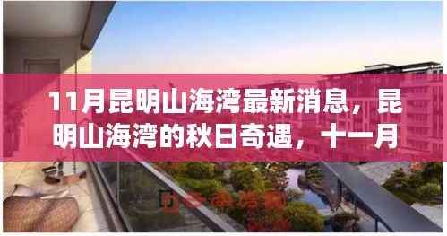 昆明山海湾秋日奇遇,揭秘十一月最新动态与温情时光