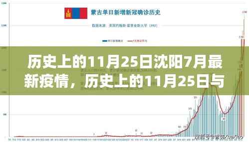 历史上的11月25日与沈阳最新疫情,多维度视角下的深度观察与探讨