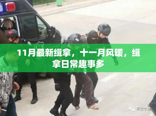 十一月风暖缉拿日常趣事盘点
