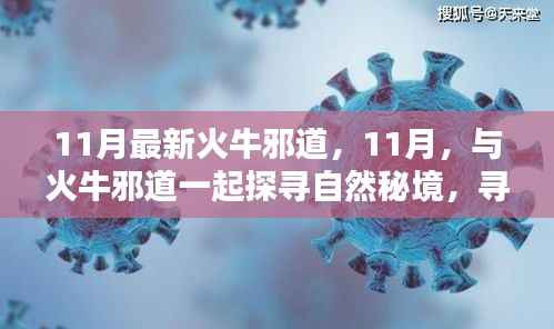 探寻自然秘境,火牛邪道与内心的平和力量之旅(11月最新指南)