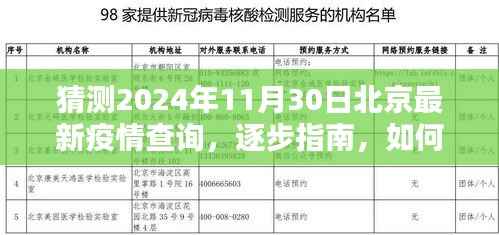 北京最新疫情查询指南,如何了解2024年11月30日疫情信息逐步指南