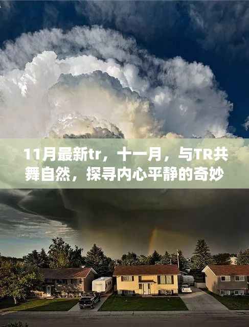 星星打烊 第5页