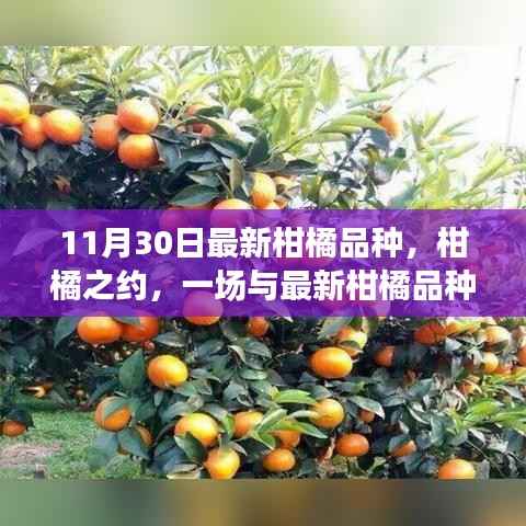 森久 第11页