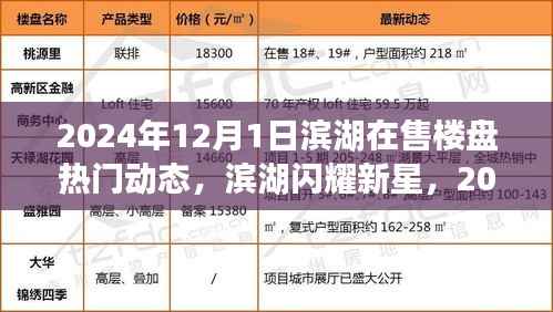 滨湖闪耀新星,2024年12月热门楼盘深度测评与动态概览