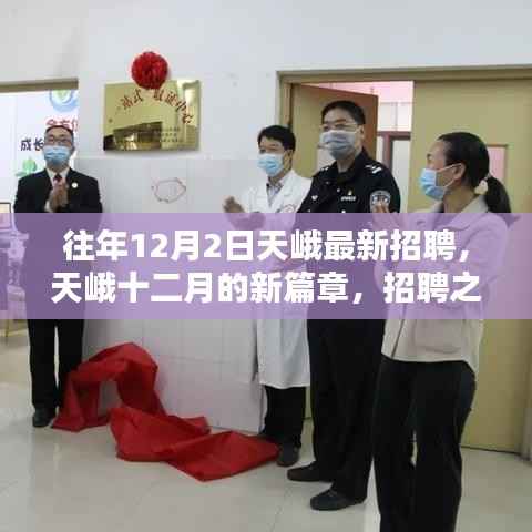 天峨招聘启幕,十二月新篇章的温馨奇遇