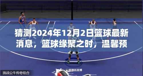 温馨预测,篮球缘聚之时,揭秘2024年12月2日篮球惊喜新动态