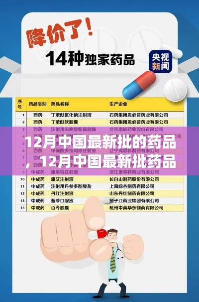 12月最新药品批次指南,获取与使用详解,初学者与进阶用户必读