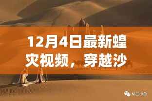 初告白 第3页