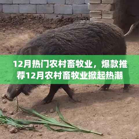 神采奕奕 第2页