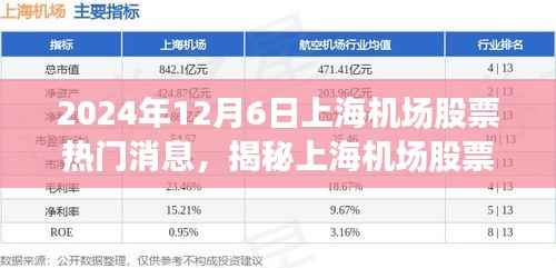 揭秘上海机场股票热门消息与未来展望(最新更新,2024年12月6日版)