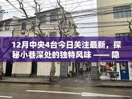 中央四台今日关注,探秘小巷深处的独特风味,繁华背后的新发现