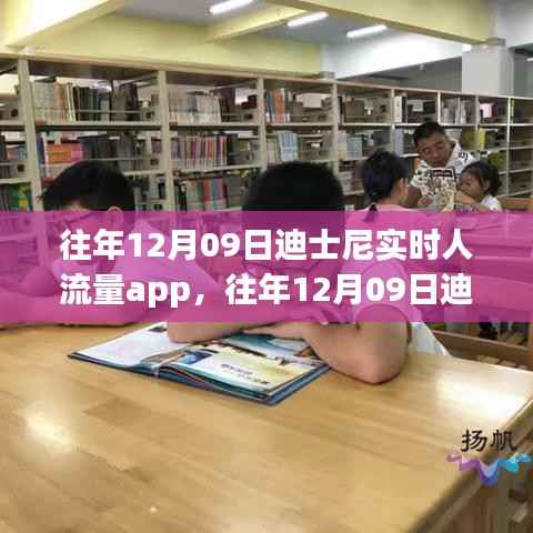 往年12月09日迪士尼实时人流量掌控,智能App助力游客畅游体验新篇章