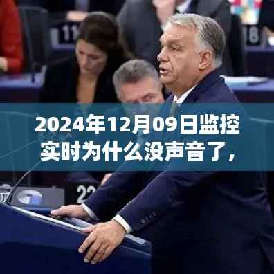 无声监控下的奇妙心灵之旅,为何监控实时无声?寻找内心平静的风景之旅揭秘