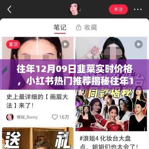 洞悉市场走势,往年12月09日韭菜实时价格小红书热门推荐揭秘!