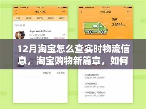 淘宝购物指南,驾驭物流魔法之旅,掌握实时物流信息迎接成就之变