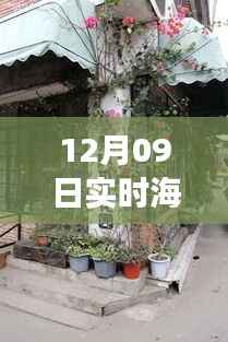 12月09日海边风情探秘,高清转场图片之旅