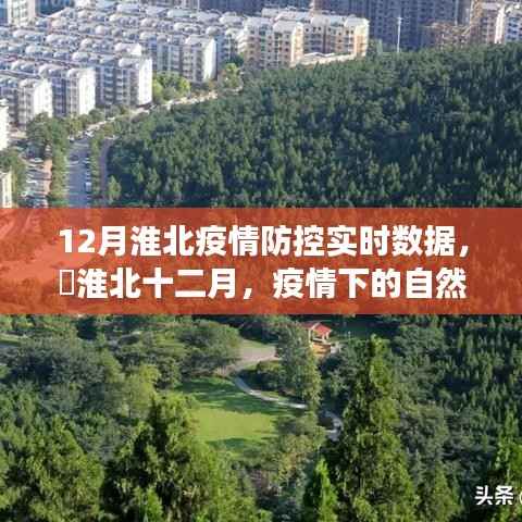 淮北疫情防控实时数据与疫情下的自然探索之旅,寻找内心的宁静与力量