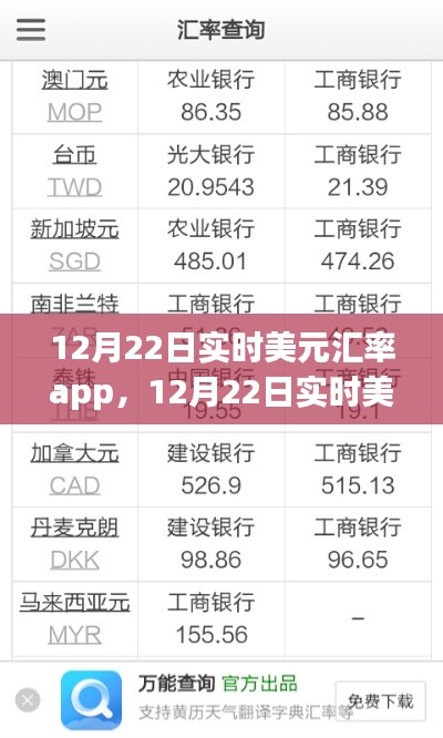 掌握汇率动态,轻松理财,实时美元汇率APP