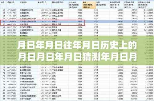 实时排行软件评测,月基金估值与历史上的基金表现深度解析