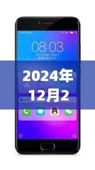 魅族实时壁纸探索之旅,小巷深处的秘境,时间与美学的交汇点